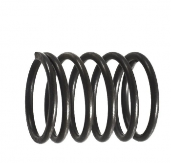 Пружина плунжера D28.8xh36 N000-023-457 для АВД-П200, HPW-200B