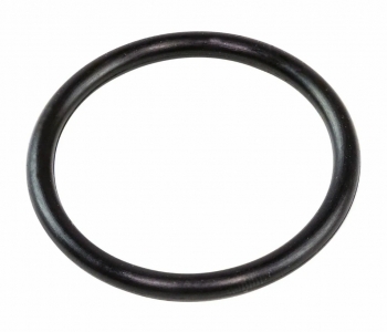 Кольцо уплотнительное D24хd20хh2 N000-010-549