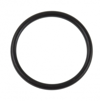 Кольцо уплотнительное D24хd20хh2 N000-010-549