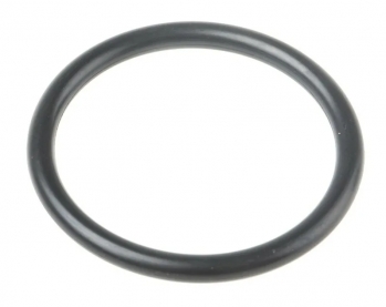 Кольцо уплотнительное D24хd20хh2 N000-010-549