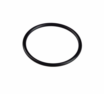 Кольцо уплотнительное D54хd49хh2.5 N000-025-880 для НС-М1-400-Ч, НС-М1-650-Ч