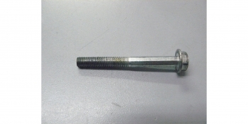 Болт M6х60